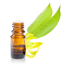 Benefits Of Ylang-Ylang Essential Oil
