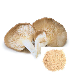 Oyster Mushroom Powder