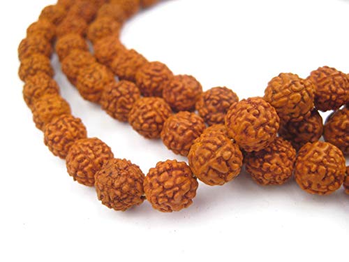 Rudraksha Seeds Prayer Beads